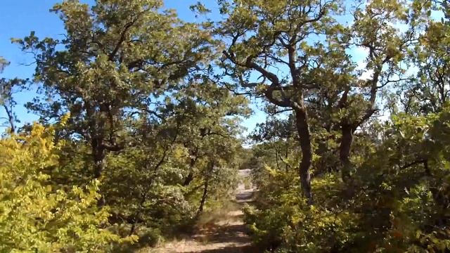 КРЫМ. МЫС МАРТЬЯН. ЗАПОВЕДНЫЕ СУБТРОПИКИ 1серия смотреть онлайн