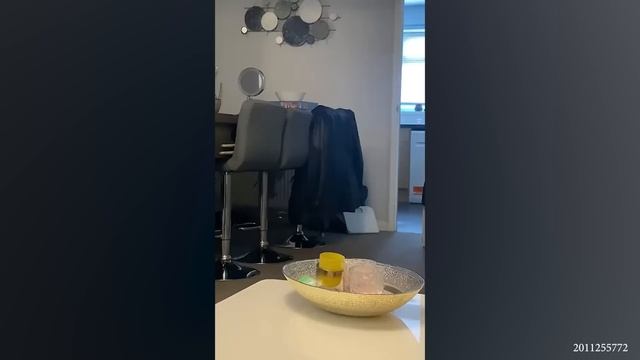 30 Minutes Trending Funniest Cats Memes ? Try Not To Laugh ?