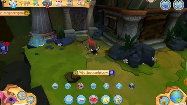 Обзор летающей лисицы в Animal jam смотреть онлайн
