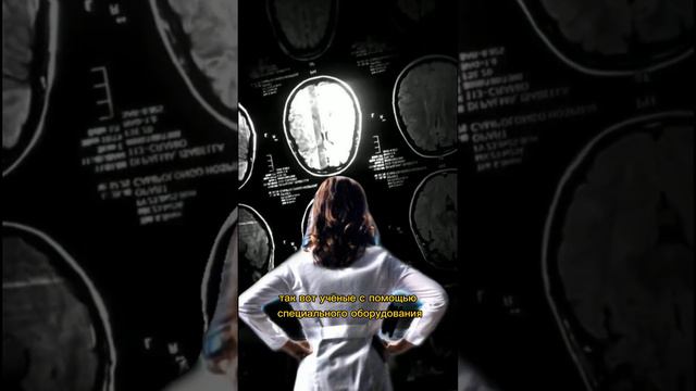 Можно ли читать мысли после смерти? #факты #zloered #жуткиефакты смотреть онлайн