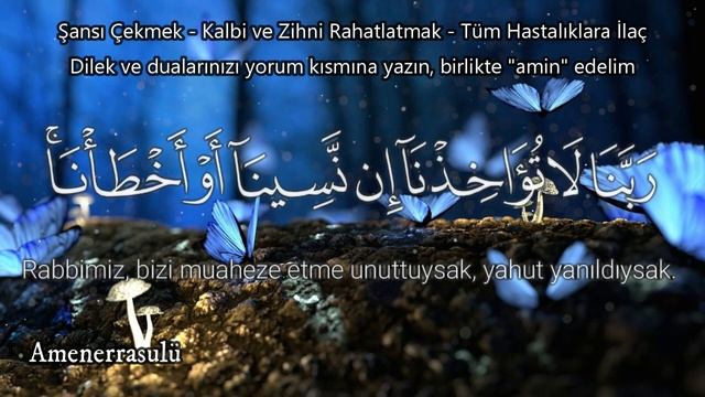 7 Fatiha 7 Ayetel Kürsi 7 Amenerrasulü 7 Kâfirûn 7 İhlas 7 Felak 7 Nas Rukye