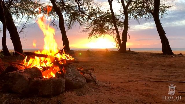 КРАСИВЫЙ КОСТЕР. Огонь Campfire. Звуки природы. Медитация. Закат солнца. Место силы. Гавайи релакс смотреть онлайн