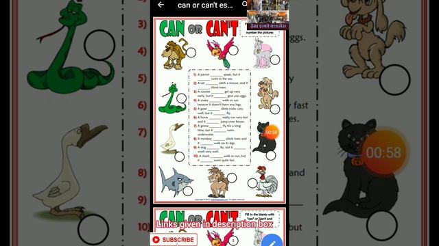 Best english grammar worksheet website for kg to 5th student смотреть онлайн