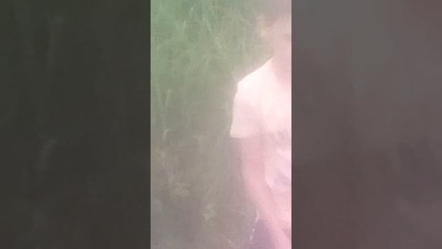 Скучный футбол смотреть онлайн