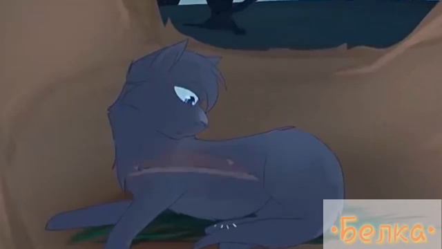☆Синегривка и Жёлудь☆ Коты Воители|Белка смотреть онлайн