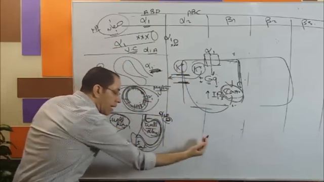 Autonomic Pharmacology (Ar) - Lec 02 - Adrenergic Receptors смотреть онлайн