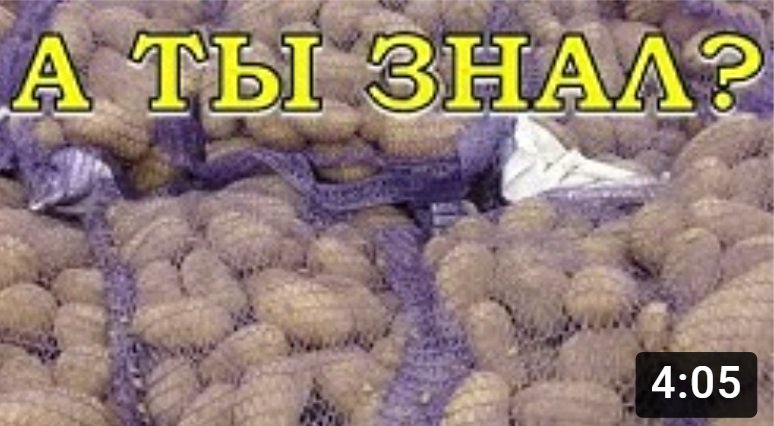 Как хранить КАРТОФЕЛЬ зимой?