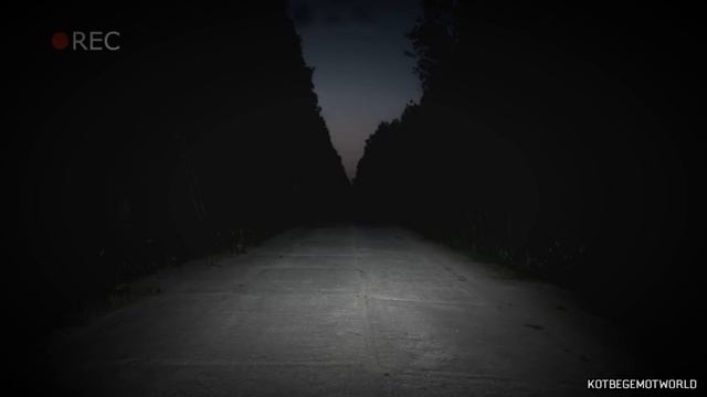 Страшные истории на ночь - Бабушка отре*ающая головы... смотреть онлайн