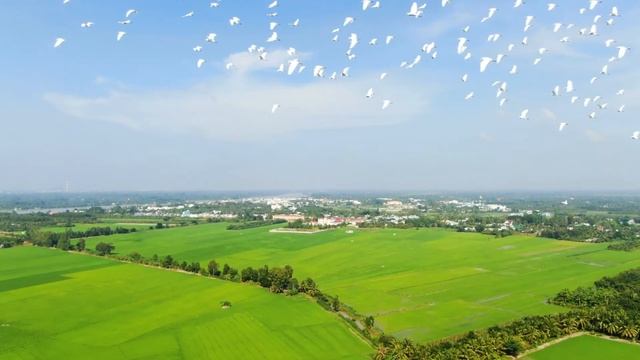 Спокойная музыка для снятия стресса. Музыка для души. Красивая природа. Восхитительные птицы смотреть онлайн