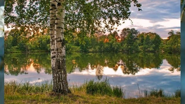 Мне ночами снится край берёзовый. Текст Екатерина Комарова. Музыка и исполнение Виктор Бекк