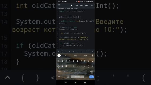 Программа на java "Возраст котиков" смотреть онлайн
