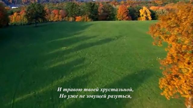 "Подмосковное утро" читает автор #АлексейБаширов, #стихиолюбви, #стихи, #утро, #подмосковноеутро смотреть онлайн