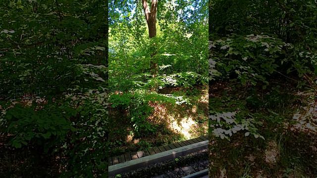 Две причины, почему ваши Отношения могут испортиться смотреть онлайн