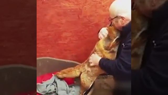 Всем нужна любовь большим и малым смотреть онлайн