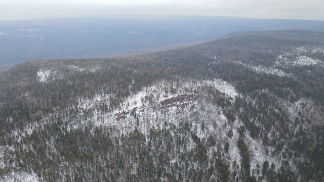 В Иркутской области лесовосстановление и лесоразведение запланировано на площади 134,5 тыс. га смотреть онлайн