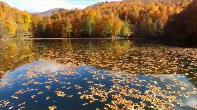 Золото потерь.Любовь Юркова. смотреть онлайн