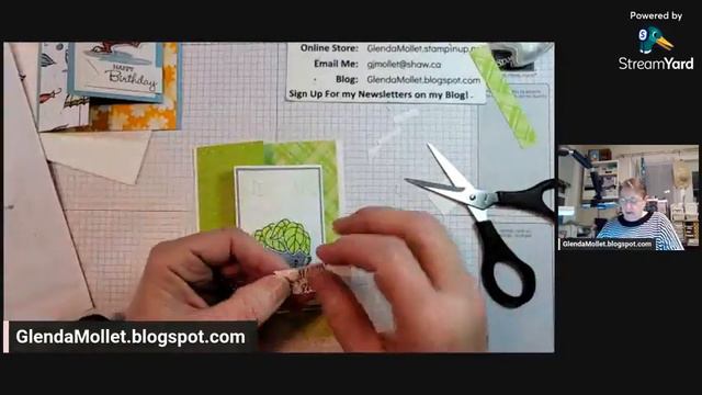 A super cute, quick, and fun Fun Fold Using the Playing In The Rain Bundle and the Elephant Parade! смотреть онлайн