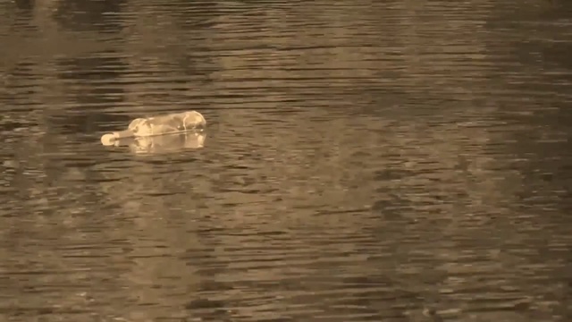 Jay Sean - Message In A Bottle смотреть онлайн