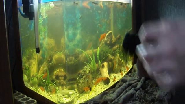 Строительная Рубрика