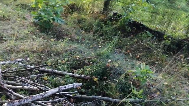 На даче под Минском, конец лета смотреть онлайн