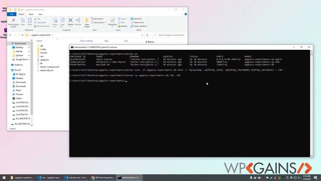 How to export a WordPress MySQL database from a Docker container in less than 100 seconds смотреть онлайн