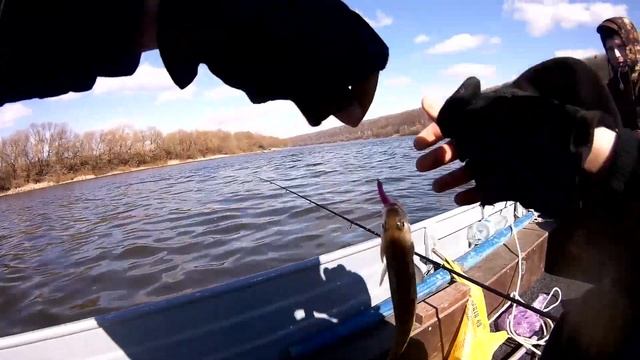 2020 ока открытие сезона Коломенский район отводной поводок смотреть онлайн