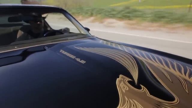 Turbo V8 Chicken: Pontiac Trans Am - /BIG MUSCLE смотреть онлайн
