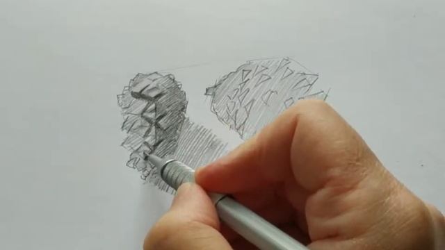 Рисунок сосновой шишки. смотреть онлайн