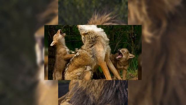 ВСЕМ ЗДОРОВЬЯ, КРЕПКОГО ИММУНИТЕТА! С ДОБРЫМ УТРОМ 🌄🌄 #тамараушакова # смотреть онлайн