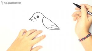 How to draw a Bird for kids | Bird Drawing Lesson Step by Step