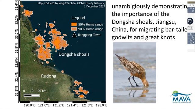 Bringing Good Connections to Life - EAAFP 2020 World Migratory Bird Day Webinar смотреть онлайн