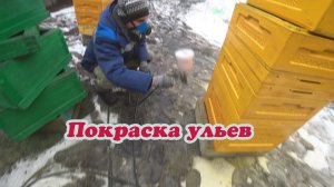 ПОКРАСКА УЛЬЕВ, ГОТОВИМСЯ К ПЕРЕТОПКЕ ВОСКОСЫРЬЯ, СИЛА ПЧЕЛОСЕМЕЙ НА ПАСЕКЕ.