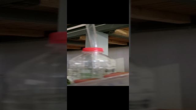 1000002999.mp4 смотреть онлайн