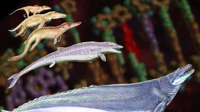 История кита смотреть онлайн