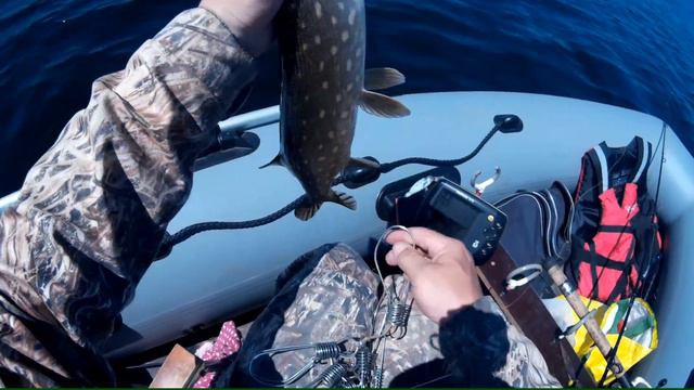 За щукой - 2! Мелководный троллинг. For pike! смотреть онлайн