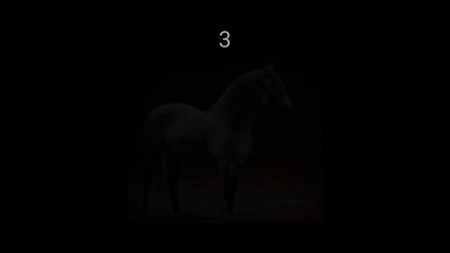 Повторяем фото из реальной жизни/Star Stable Online/🌈 смотреть онлайн