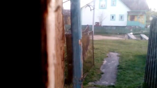 МИЛУЮ КОШКУ БРОСИЛИ!