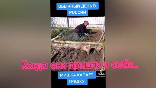 Реакция Не|Стран на ??? смотреть онлайн