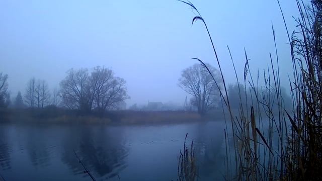 "Ёжик в тумане" на рыбалке! смотреть онлайн