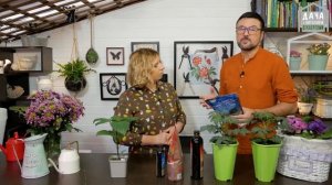 Удобряем томаты и получаем большой урожай || Органические удобрения ОрганикМикс для томатов