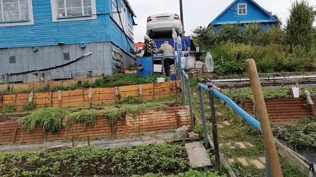 ХОРОША НЫНЧЕ МОРКОВЬ сорта Нантская и Карамелька смотреть онлайн