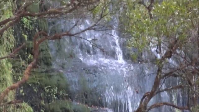 Великая Океанская Дорога Австралии. Водопад. Часть 2 смотреть онлайн