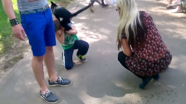 Обезьяна в Кирове зажигает смотреть онлайн