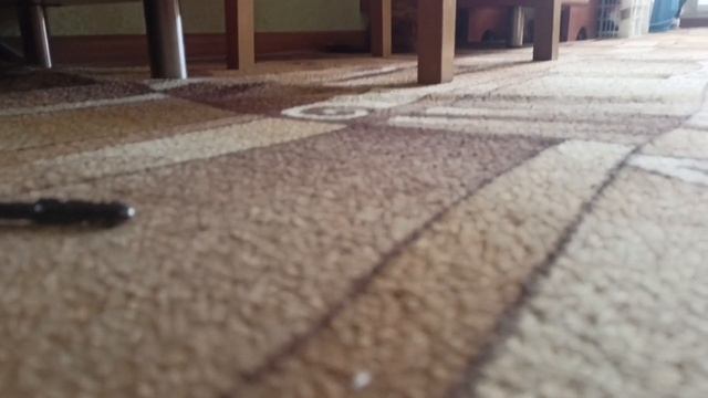 играем стрелялки онлайн в реальной жизни 2. Больше экшена! напряжённость! смотреть онлайн