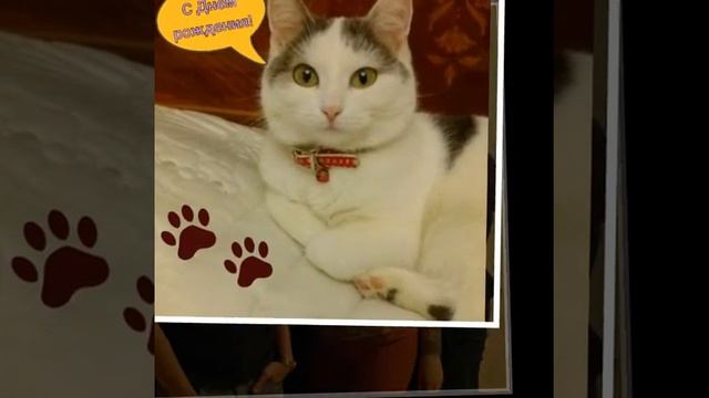 Моя любимая мамочка смотреть онлайн