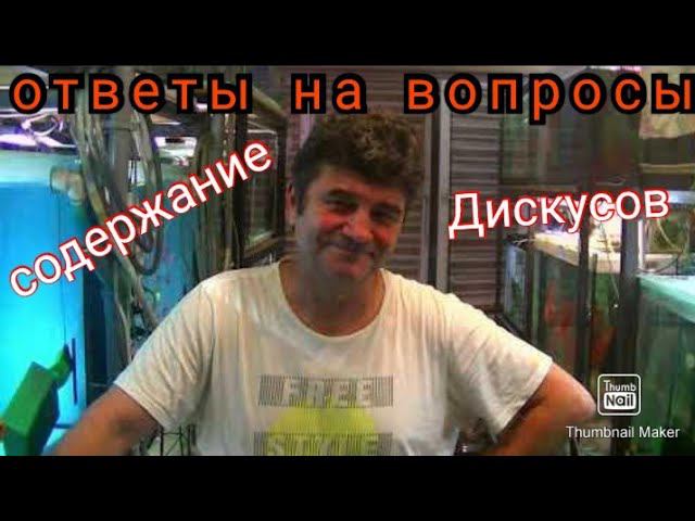 Ответы на вопросы зрителей. Июль Август смотреть онлайн