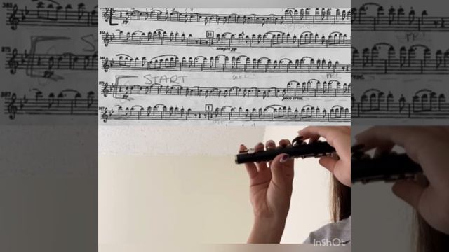 Beethoven 9 Piccolo Excerpt смотреть онлайн