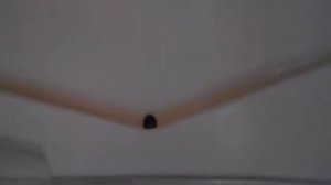 Холодильник STINOL ,ремонт.Вода из морозильной камеры течет на пол.