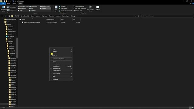 1000+ Camera Raw Presets For Photoshop | Free Color Grading Presets For Photoshop 2021 | Download | смотреть онлайн