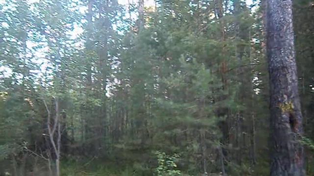 Касли Челябинская область смотреть онлайн